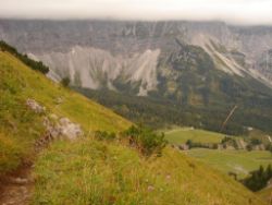 2013-09-08_6Falkenh-Steinfalk (301).JPG